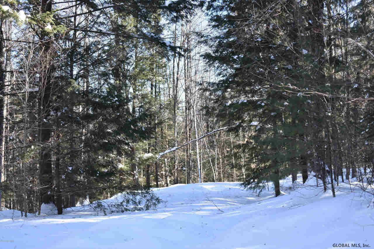 37 Carriage Road Chestertown, NY 12817 - Photo 13 of 25 Photo 13