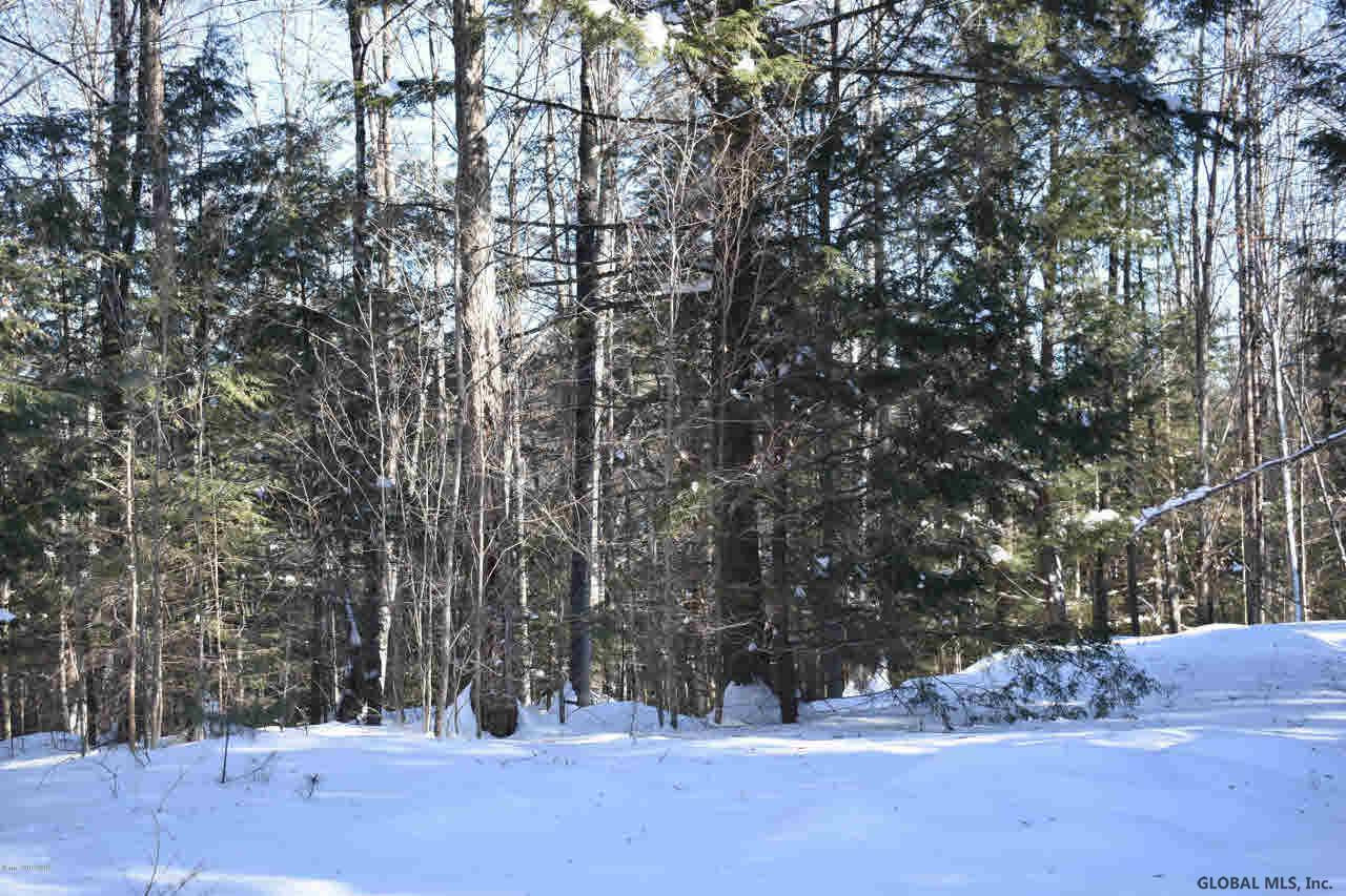 37 Carriage Road Chestertown, NY 12817 - Photo 14 of 25 Photo 14