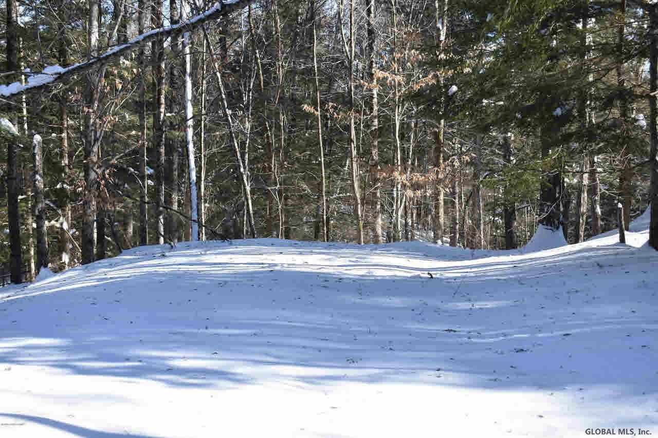 37 Carriage Road Chestertown, NY 12817 - Photo 15 of 25 Photo 15