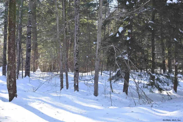 $39,000 | 37 Carriage Road, Chestertown, NY 12817