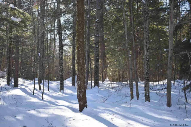 $39,000 | 37 Carriage Road, Chestertown, NY 12817