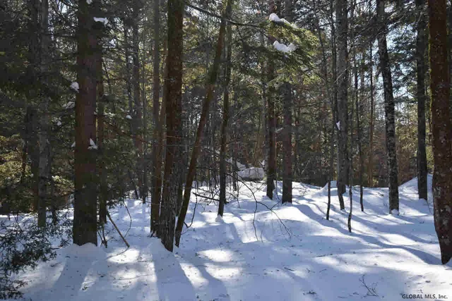 $39,000 | 37 Carriage Road, Chestertown, NY 12817