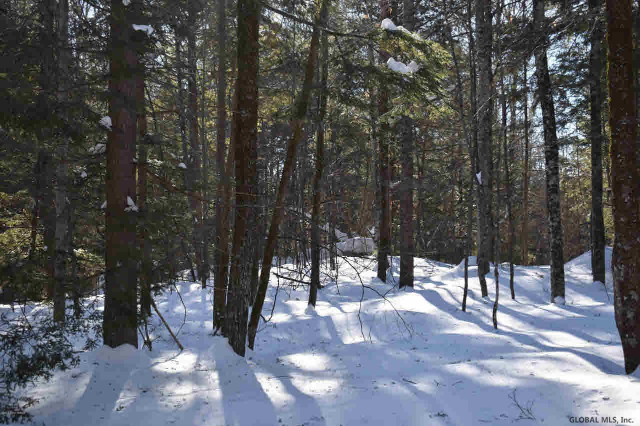 37 Carriage Road Chestertown, NY 12817 - Photo 18 of 25 Photo 18