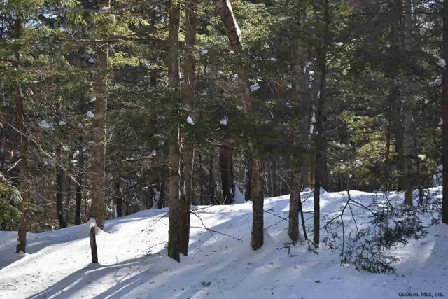 $39,000 | 37 Carriage Road, Chestertown, NY 12817