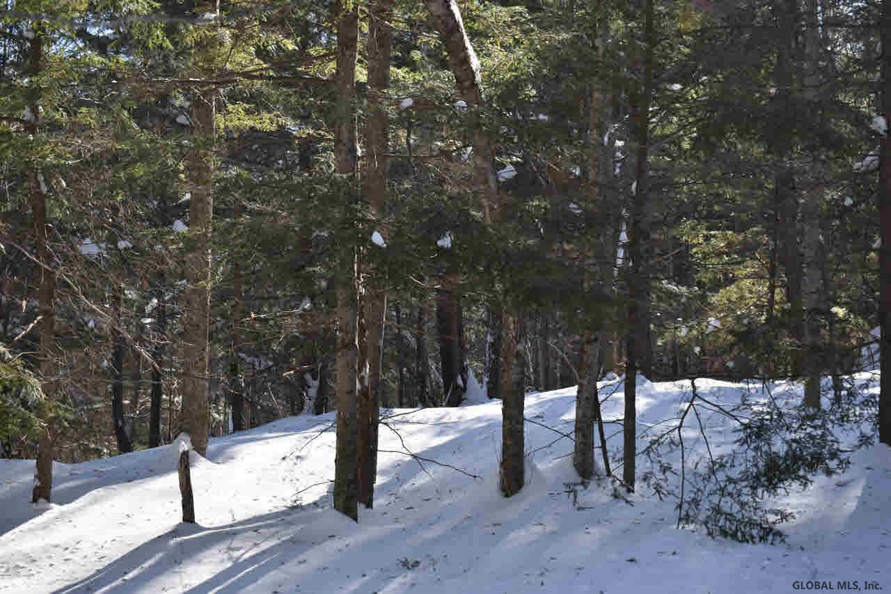 37 Carriage Road Chestertown, NY 12817 - Photo 19 of 25 Photo 19