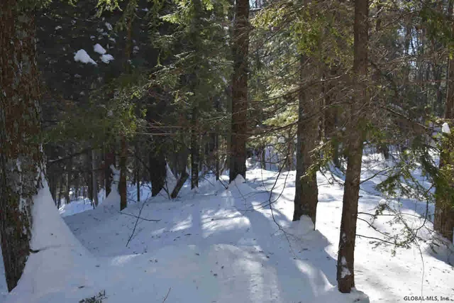 $39,000 | 37 Carriage Road, Chestertown, NY 12817