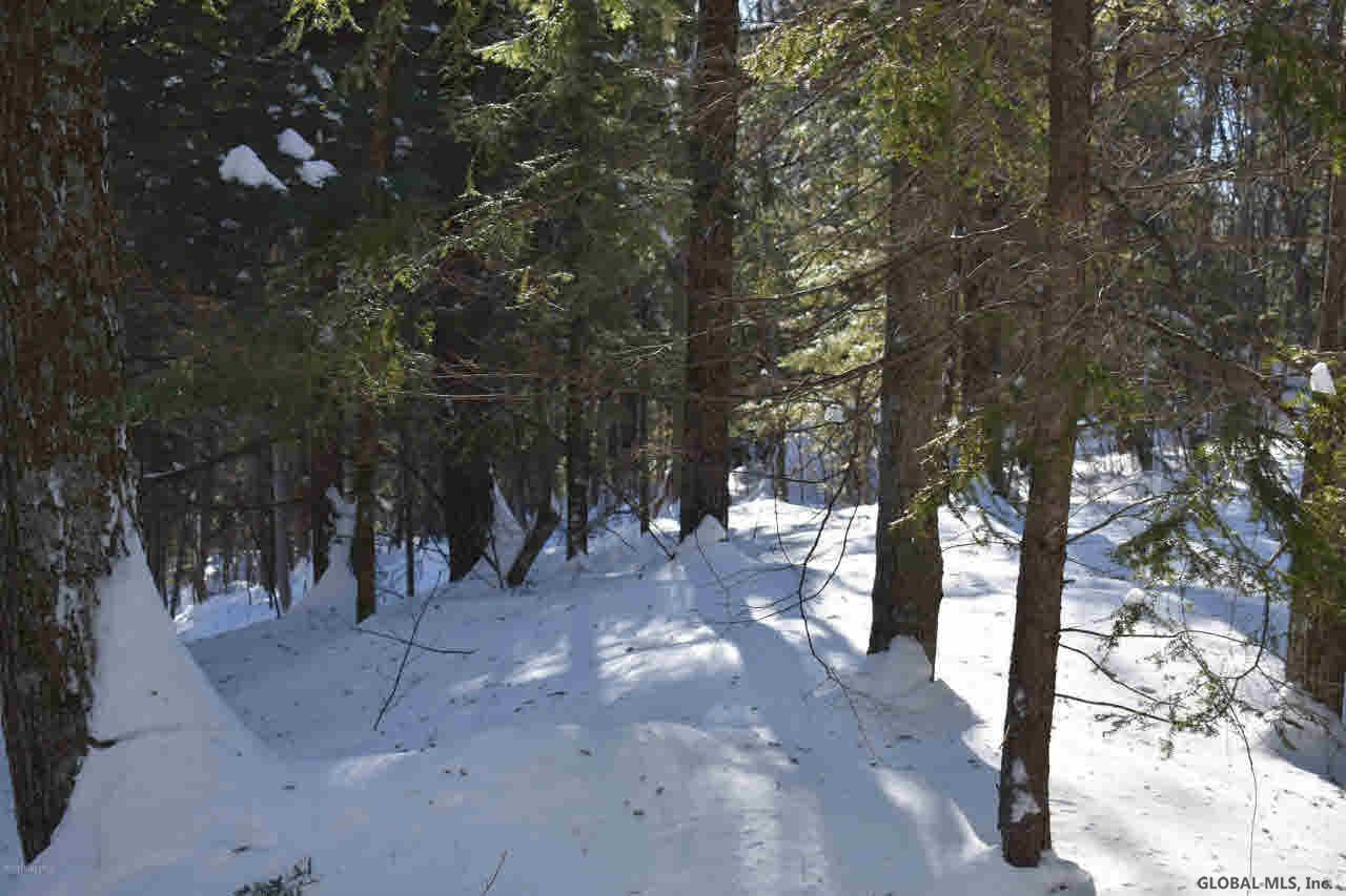 37 Carriage Road Chestertown, NY 12817 - Photo 21 of 25 Photo 21