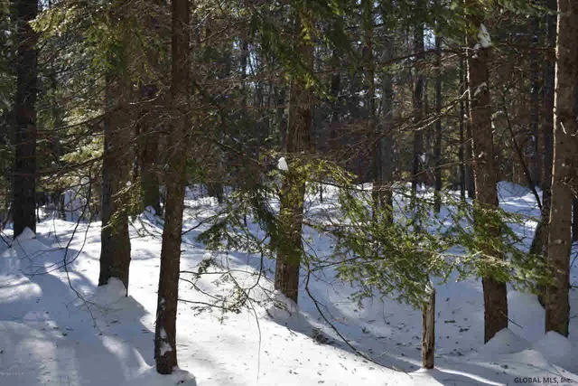 $39,000 | 37 Carriage Road, Chestertown, NY 12817