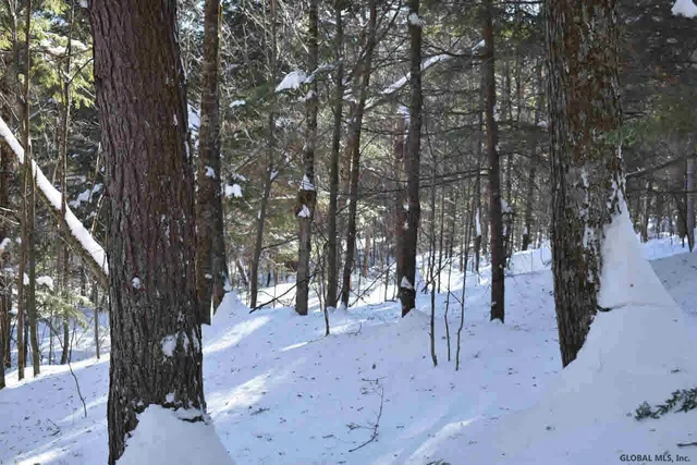 $39,000 | 37 Carriage Road, Chestertown, NY 12817