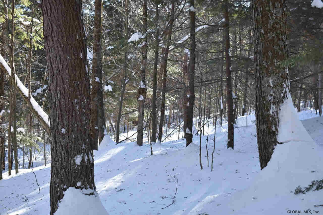 37 Carriage Road Chestertown, NY 12817 - Photo 23 of 25 Photo 23