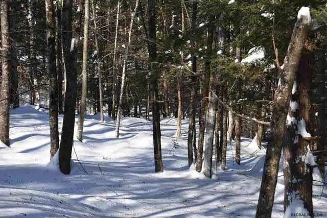 $39,000 | 37 Carriage Road, Chestertown, NY 12817