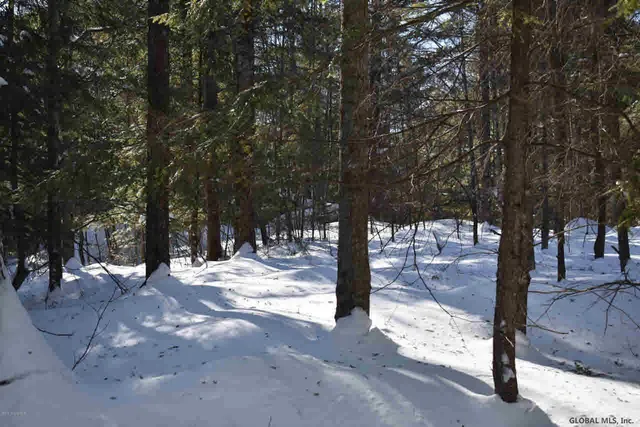 $39,000 | 37 Carriage Road, Chestertown, NY 12817