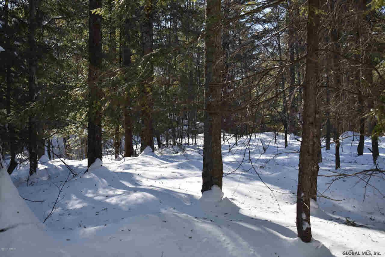 37 Carriage Road Chestertown, NY 12817 - Photo 25 of 25 Photo 25