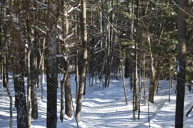 $39,000 | 37 Carriage Road, Chestertown, NY 12817