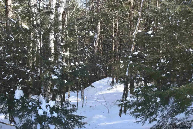 $39,000 | 37 Carriage Road, Chestertown, NY 12817