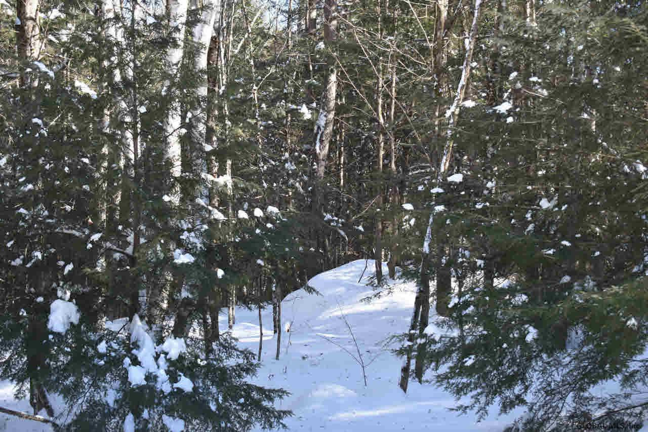 37 Carriage Road Chestertown, NY 12817 - Photo 6 of 25 Photo 6