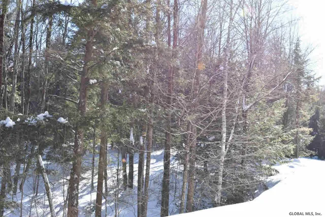 $39,000 | 37 Carriage Road, Chestertown, NY 12817