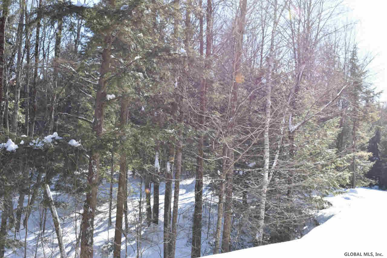 37 Carriage Road Chestertown, NY 12817 - Photo 7 of 25 Photo 7