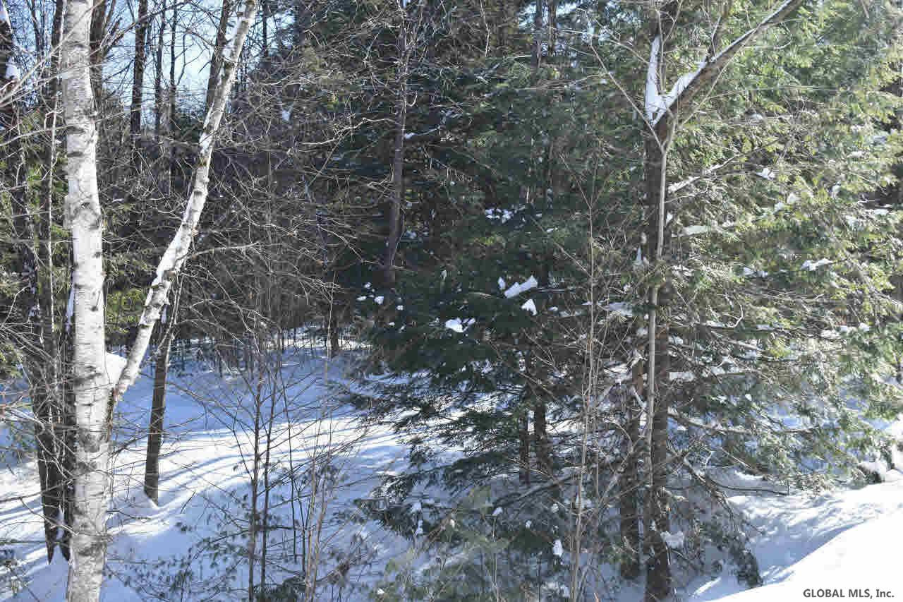 37 Carriage Road Chestertown, NY 12817 - Photo 8 of 25 Photo 8