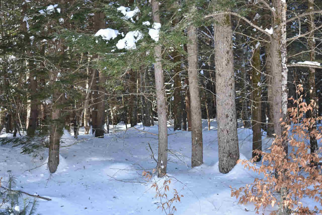 37 Carriage Road Chestertown, NY 12817 - Photo 9 of 25 Photo 9