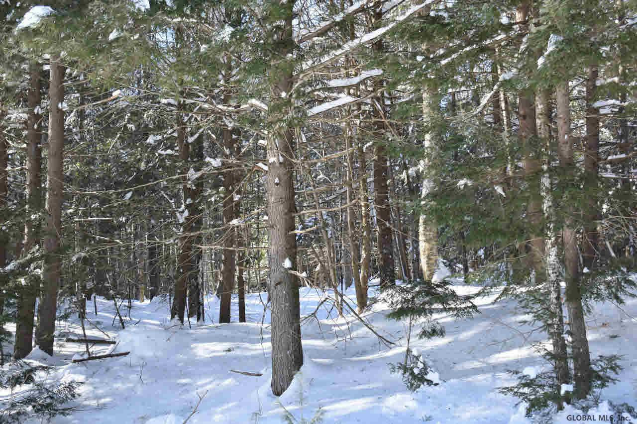 37 Carriage Road Chestertown, NY 12817 - Photo 10 of 25 Photo 10