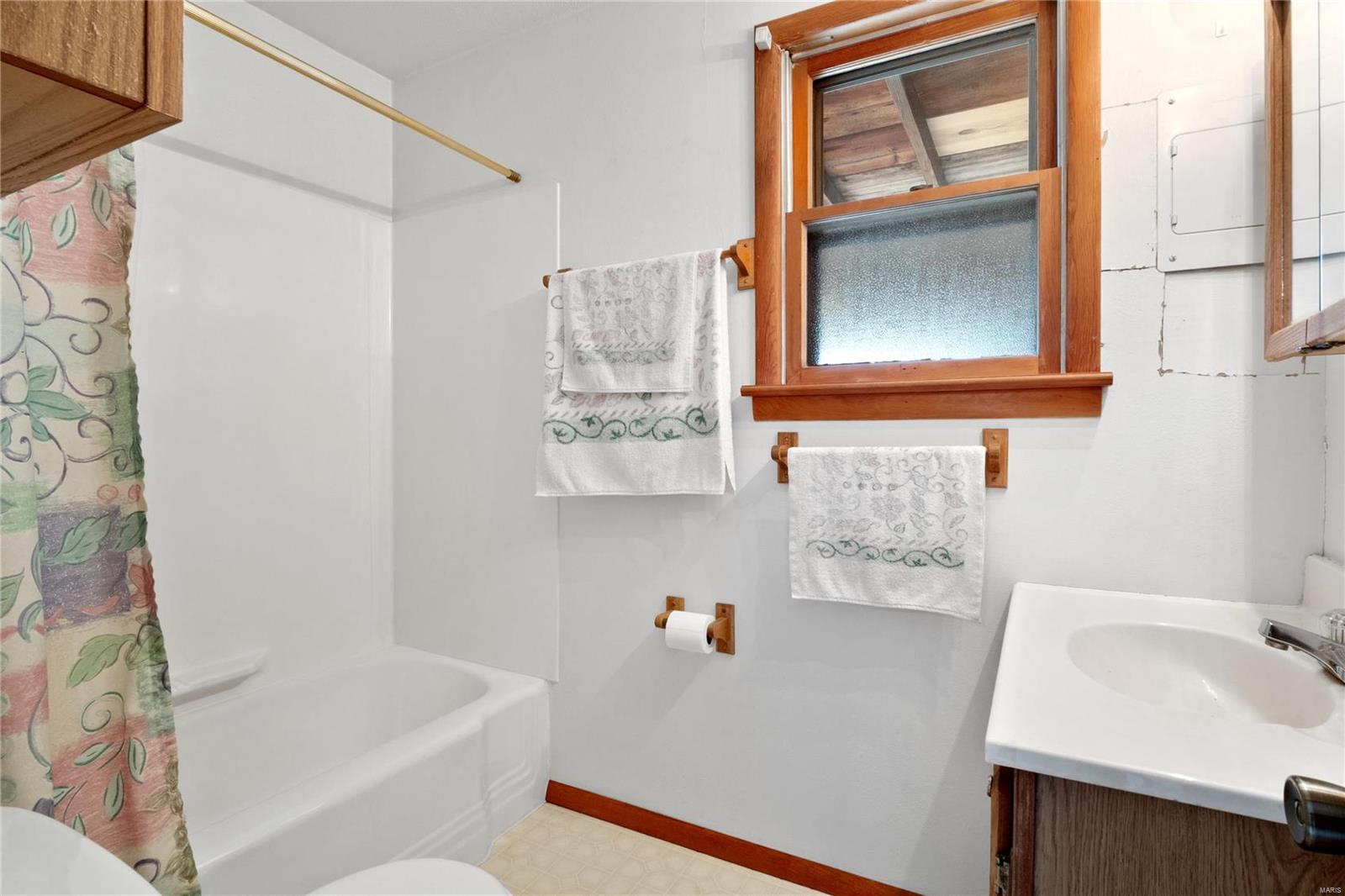 413 Watertower Lane Waterloo, IL 62298 - Photo 9 of 22 Gallery Image 9