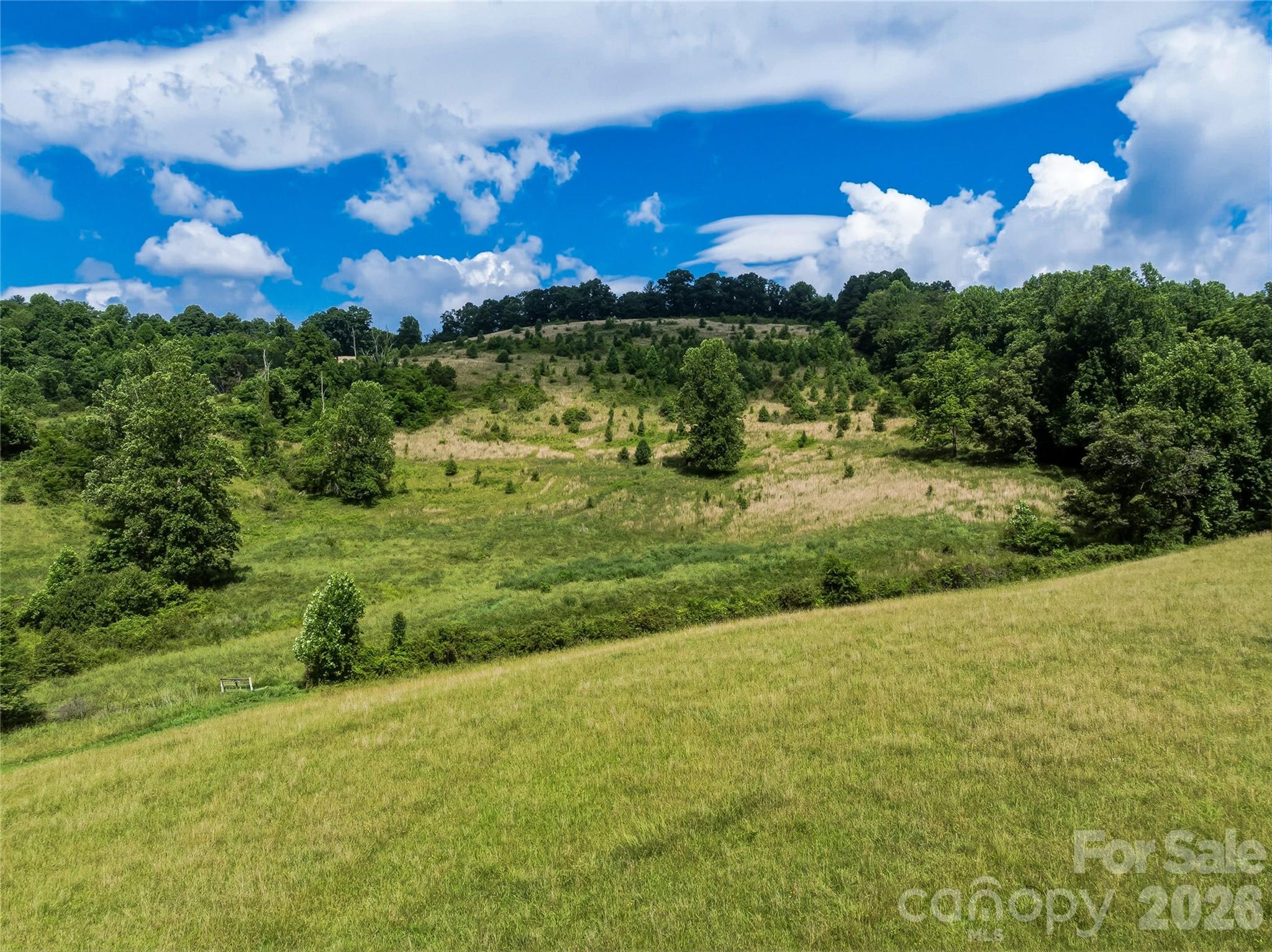 35 Felmet Farm Road Marshall, NC 28753 - Photo 26 of 28