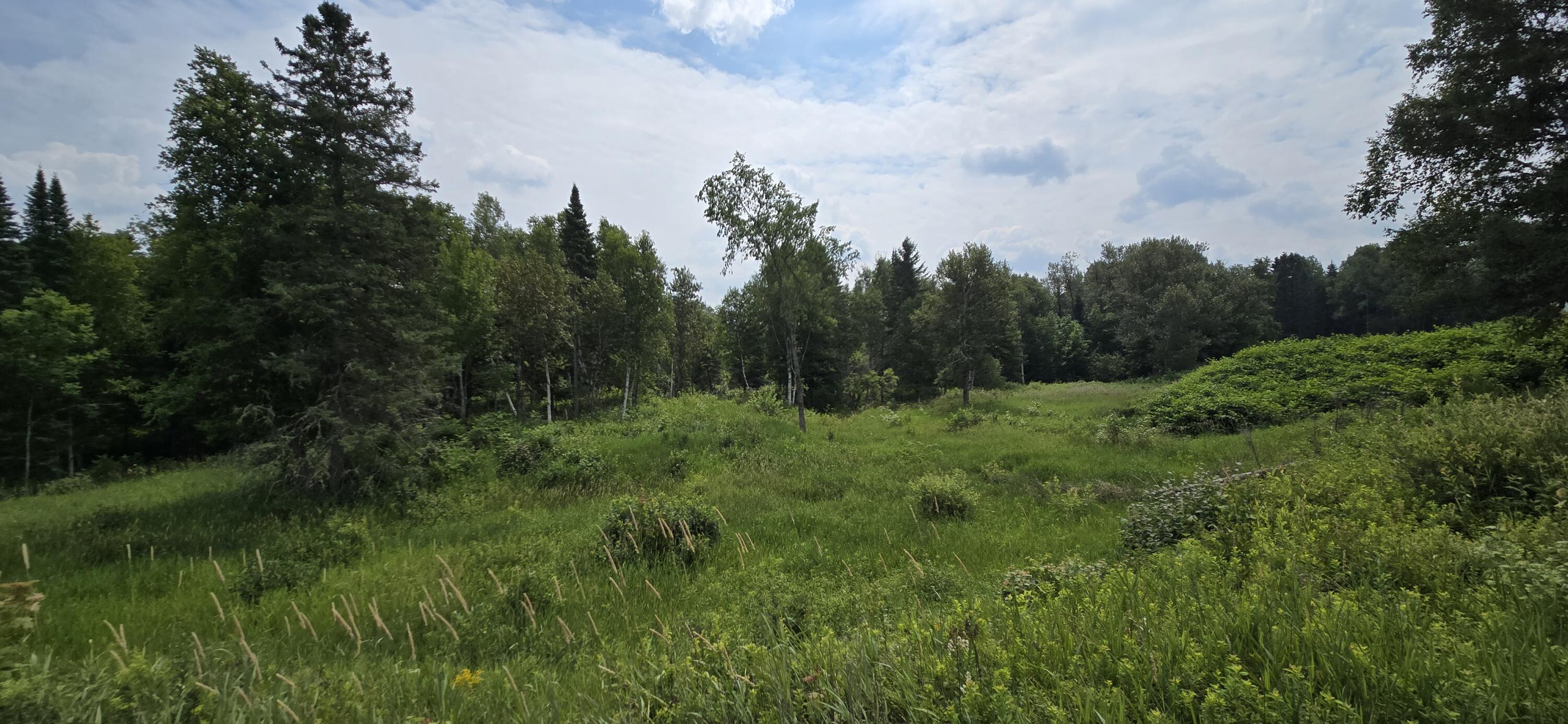 858 Allagash Road Allagash, ME 04774 - Photo 64 of 65