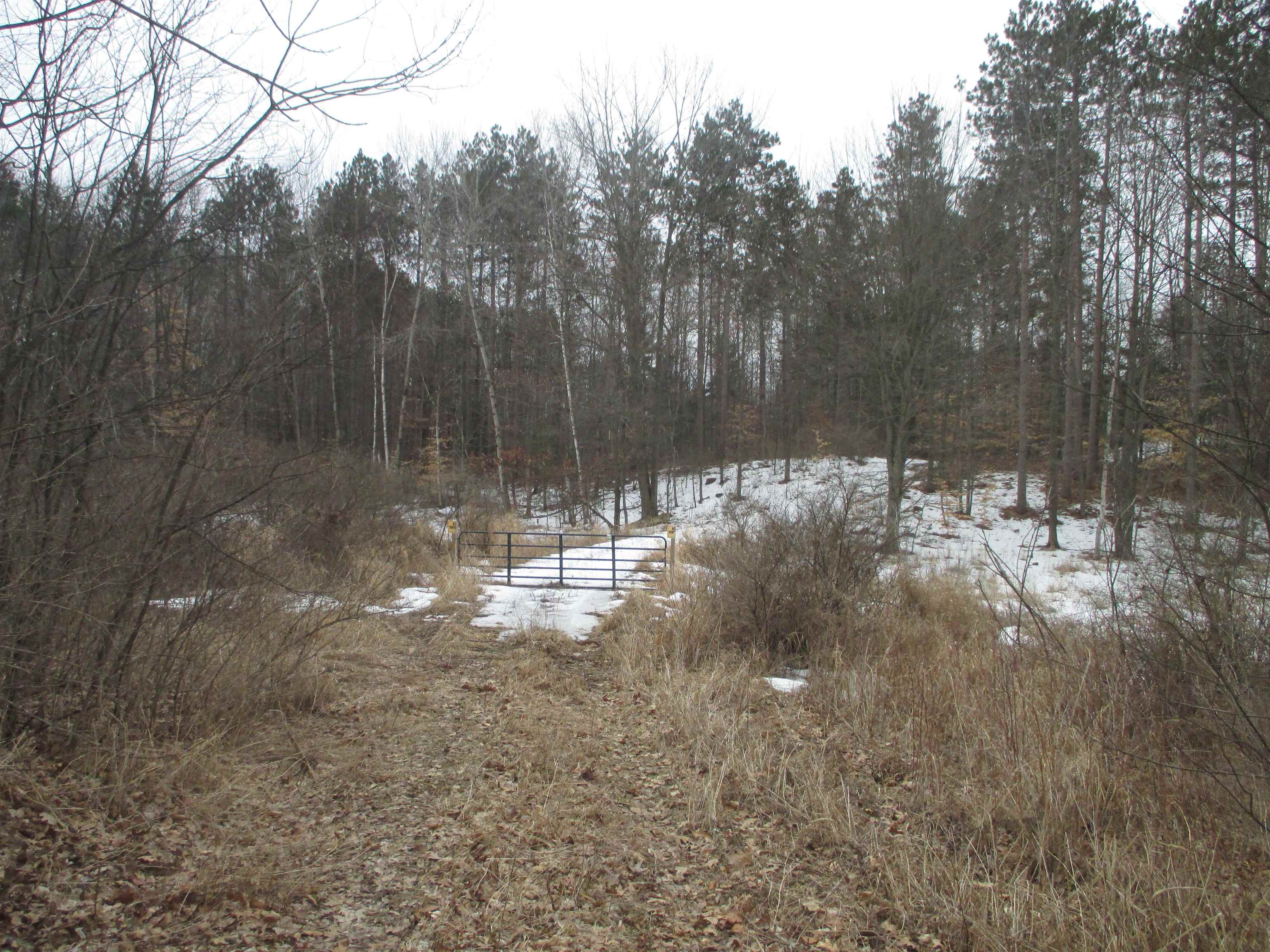 Tbd West Tbd W Remus Road Remus, MI 49340 - Photo 8 of 11 1897555-7.JPG