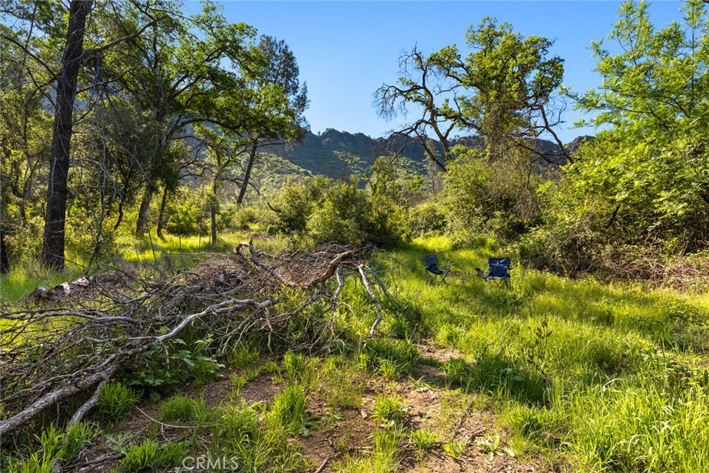 0 Honey Run Road Chico, CA 95928 - Photo 4 of 18 a view of a tree