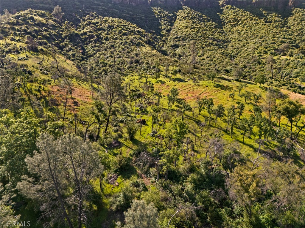 0 Honey Run Road Chico, CA 95928 - Photo 9 of 18 a view of a yard with plants