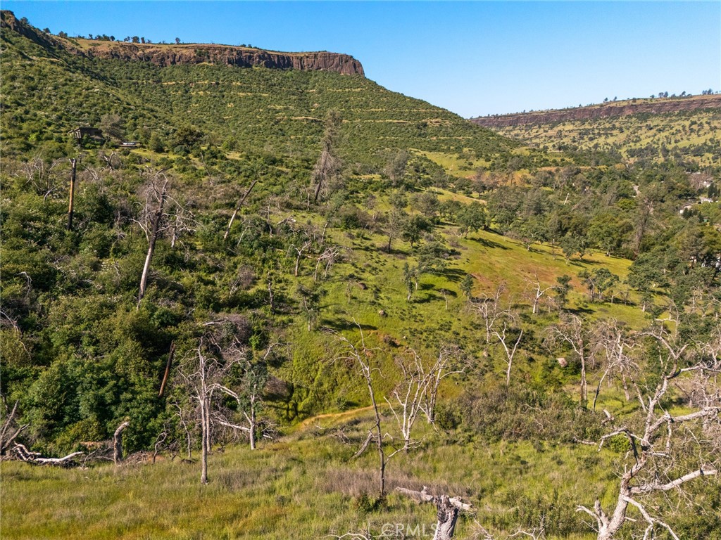 0 Honey Run Road Chico, CA 95928 - Photo 10 of 18 a view of a big yard