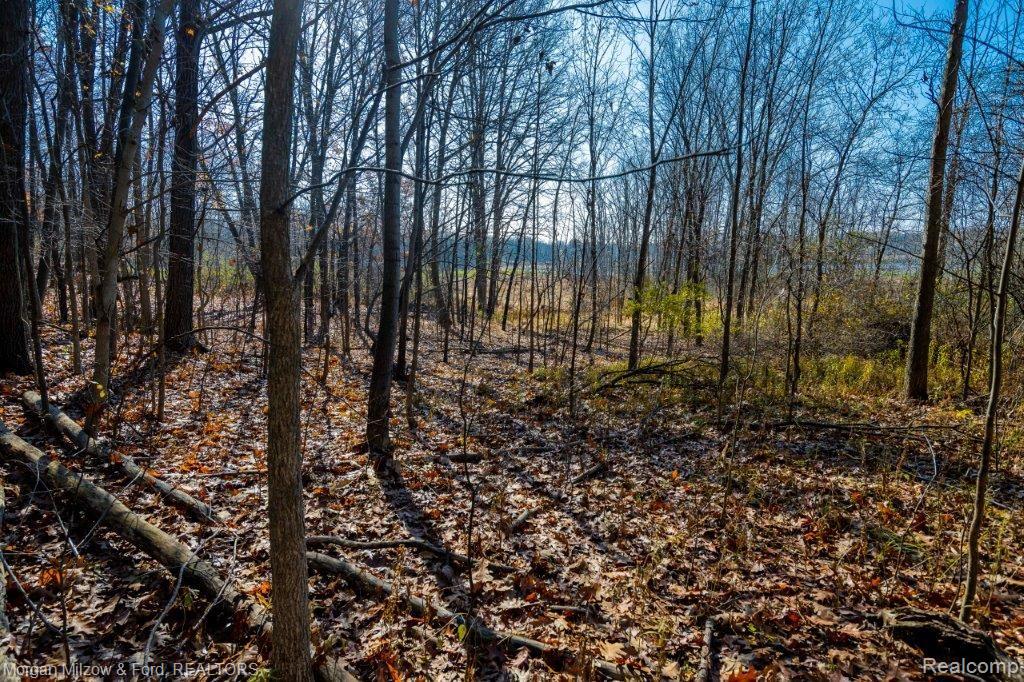 0 Hensell Road Holly, MI 48442 - Photo 2 of 17