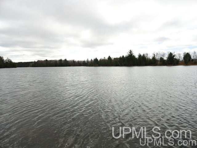 40-acres Perch Lake Road Champion, MI 49814 - Photo 8 of 11