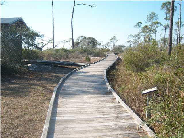 10184 Bittern Drive Pensacola, FL 32507 - Photo 19 of 24 Enjoy a walk on the nature trail early in the morning.