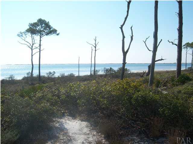 10184 Bittern Drive Pensacola, FL 32507 - Photo 20 of 24 The boardwalk offers a great up close view of nature.