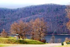 Lot 19 Forest Point, Unit 19 Butler, TN 37640 - Photo 5 of 11 LAKE & NATIONAL FOREST VIEWS