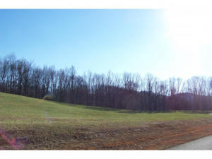 Lot 19 Forest Point, Unit 19 Butler, TN 37640 - Photo 6 of 11 PUBLIC WATER & ELECTRIC AT ROAD