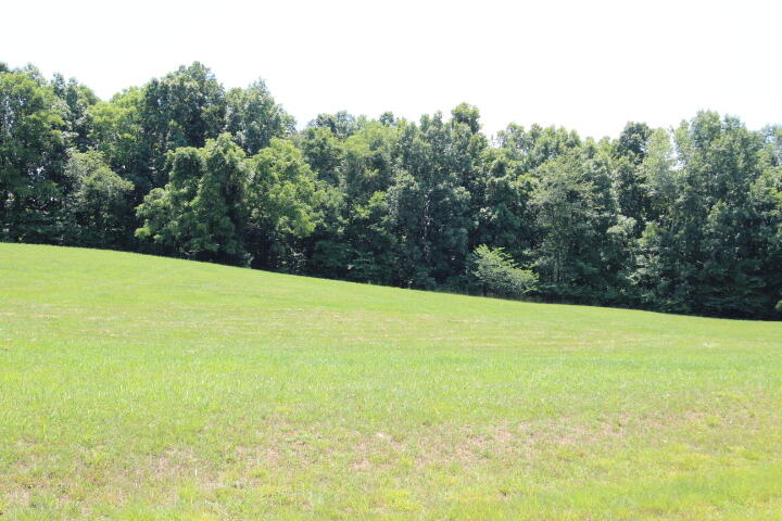 Lot 19 Forest Point, Unit 19 Butler, TN 37640 - Photo 9 of 11 GREAT BUILDING SITE!