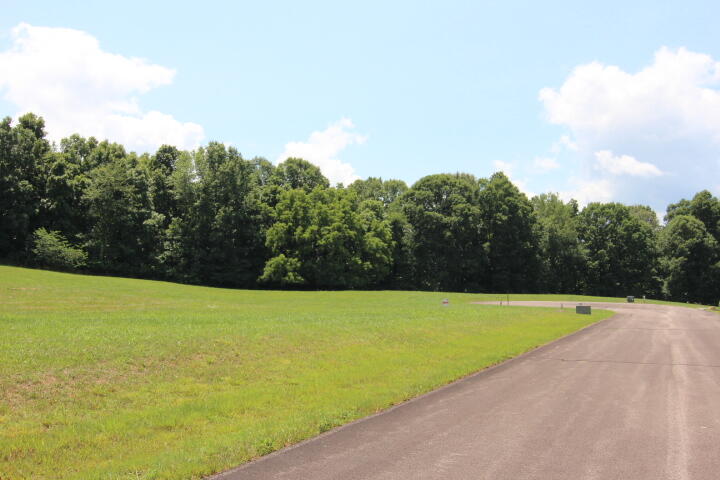 Lot 19 Forest Point, Unit 19 Butler, TN 37640 - Photo 10 of 11 PAVED ROADS & UNDERGROUND UTILITIES!