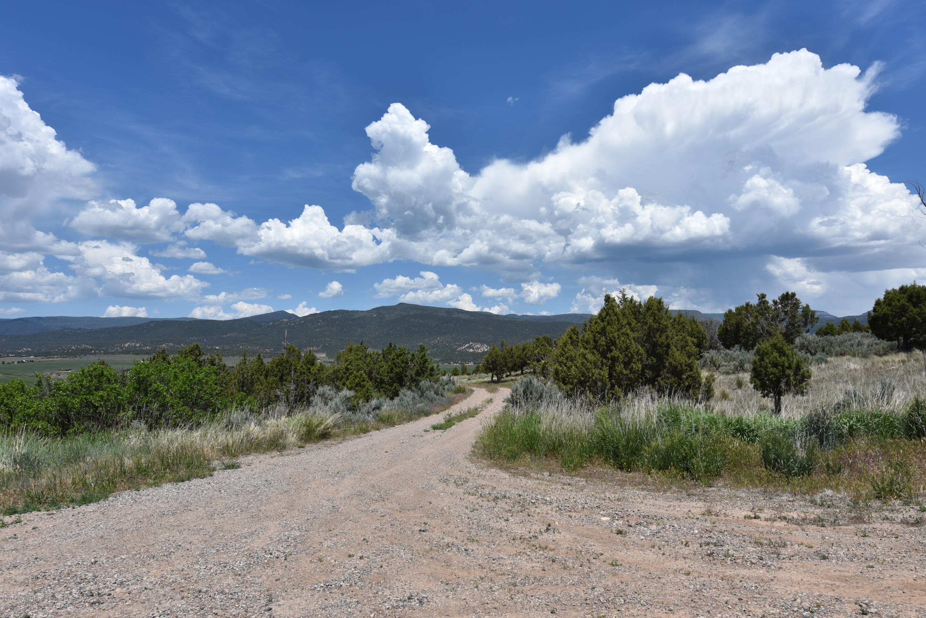 3744 County Road 237 Rifle, CO 81650 - Photo 32 of 37 a view of a lake and a yard
