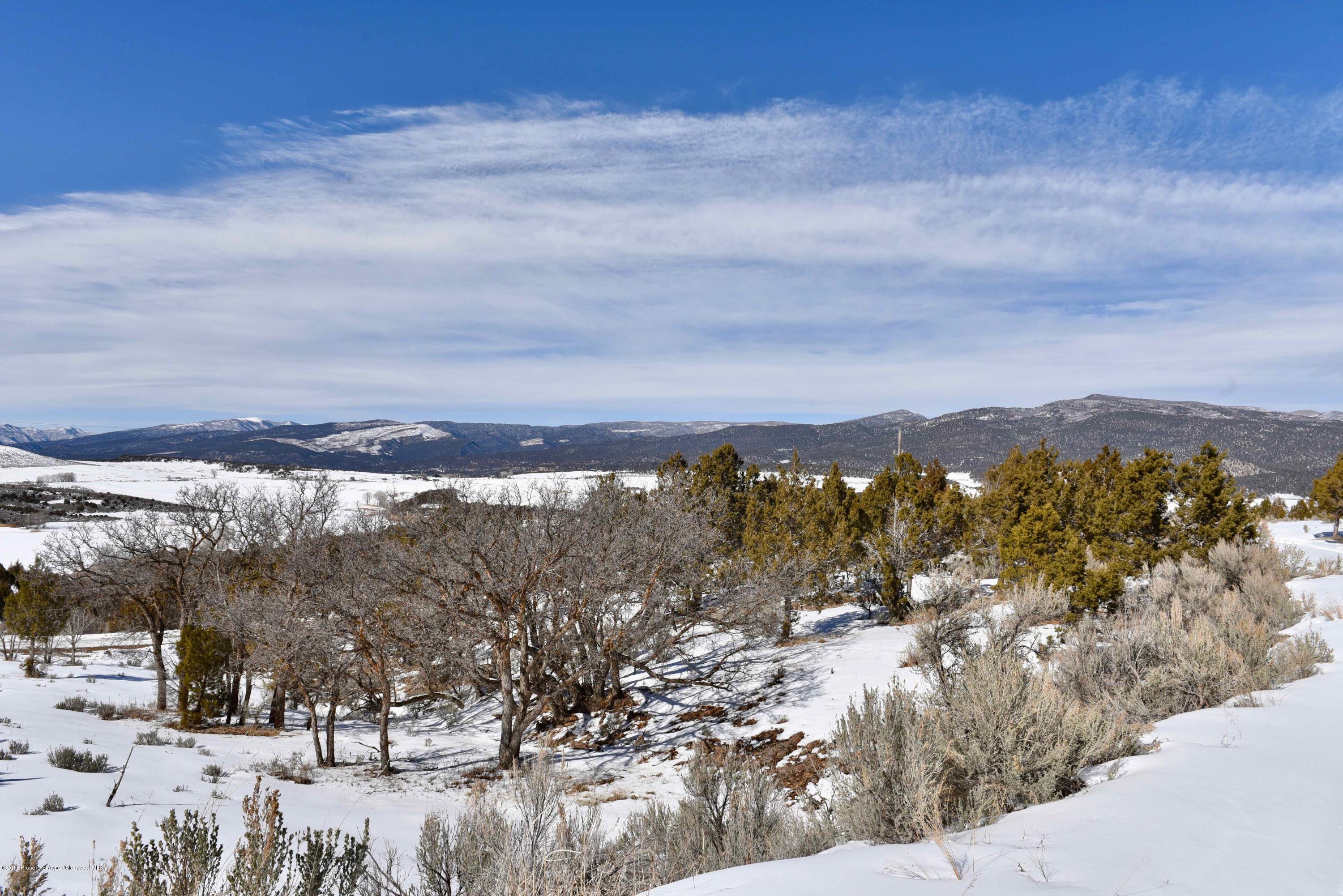3744 County Road 237 Rifle, CO 81650 - Photo 6 of 37