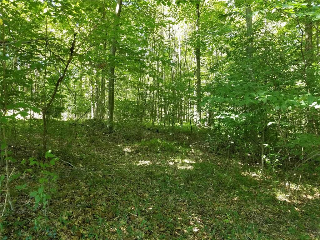 Blue Ridge Road Blue Ridge Road Clarington, PA 15828 - Photo 21 of 25 Gallery Image 21