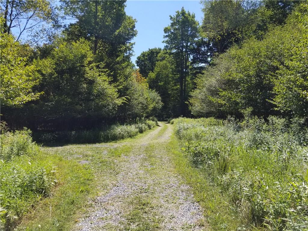 Blue Ridge Road Blue Ridge Road Clarington, PA 15828 - Photo 23 of 25 Gallery Image 23