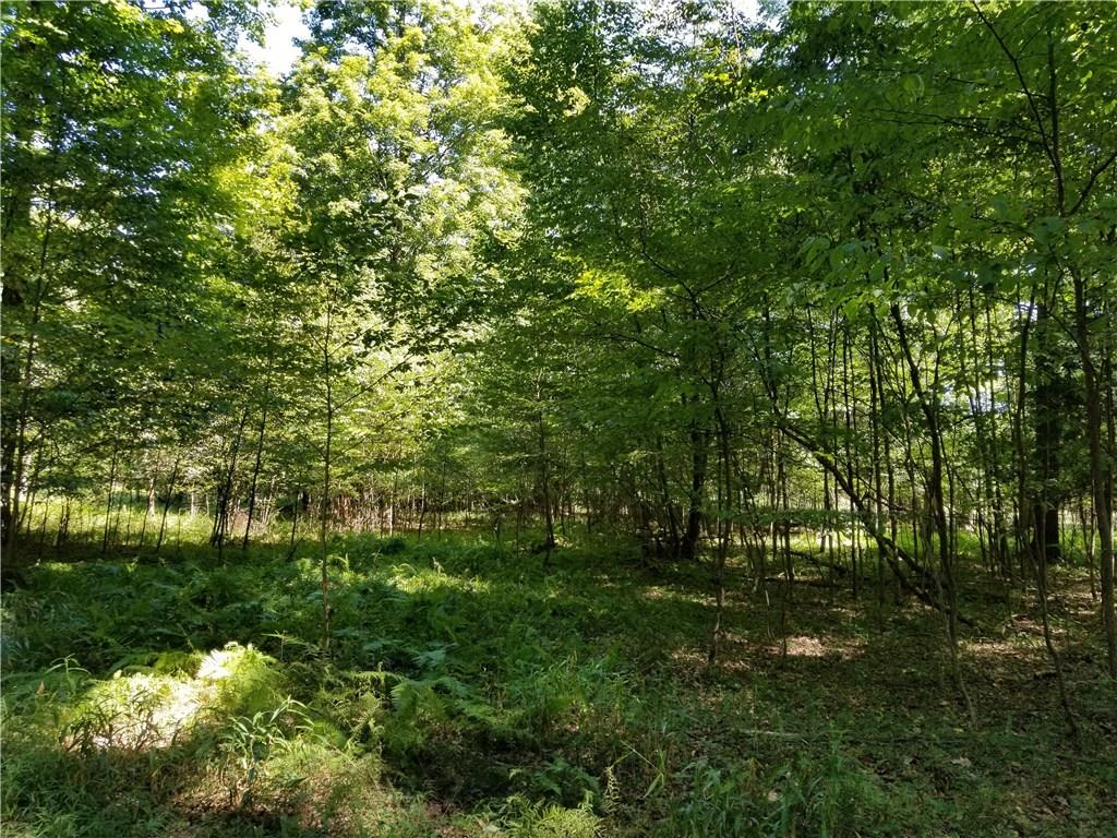 Blue Ridge Road Blue Ridge Road Clarington, PA 15828 - Photo 25 of 25 Gallery Image 25
