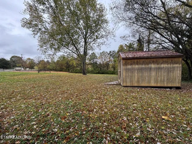 a view of a large tree with a yard