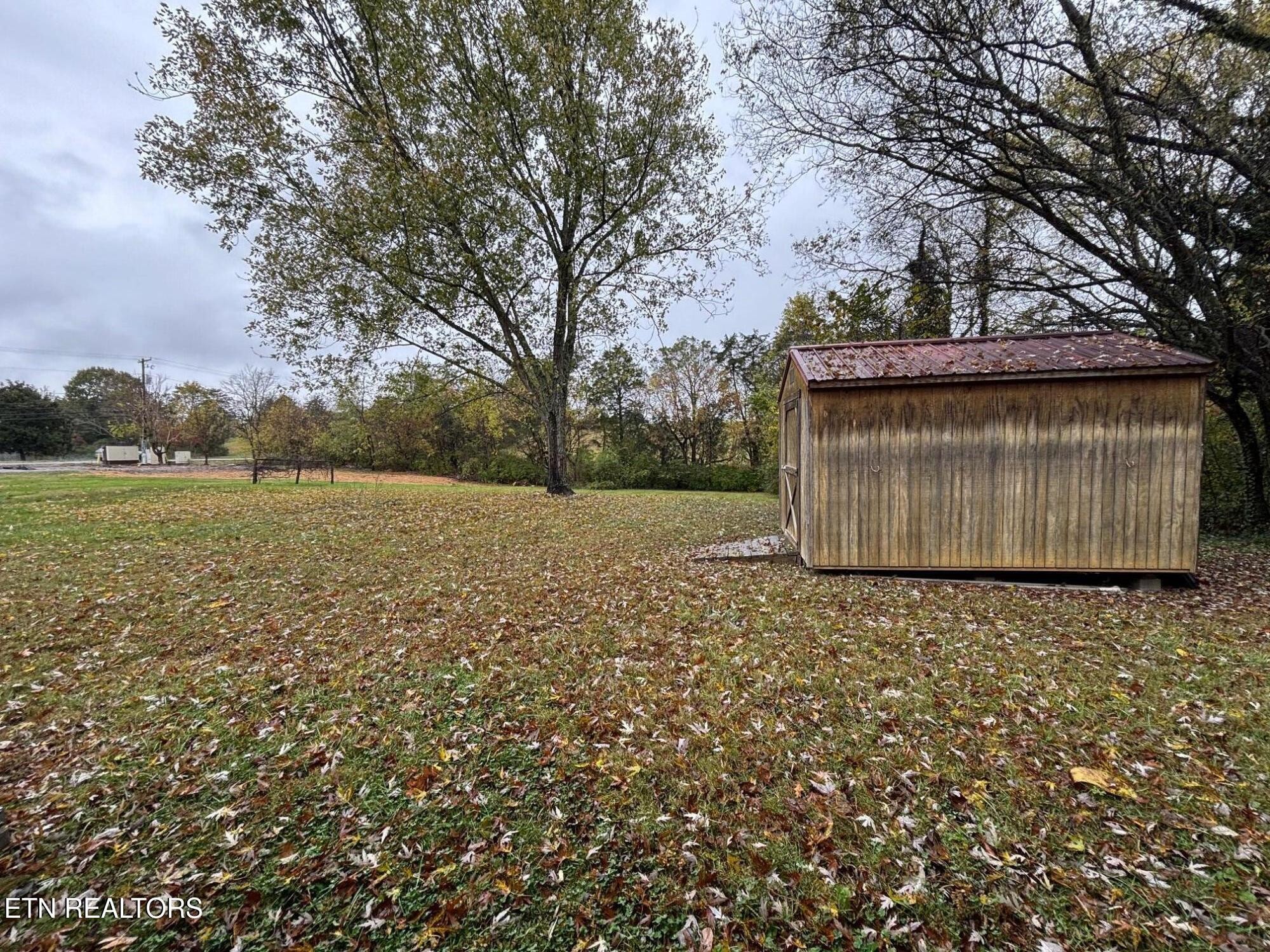 7005 Washington Pike, Unit A Corryton, TN 37721 - Photo 17 of 17 a view of a large tree with a yard