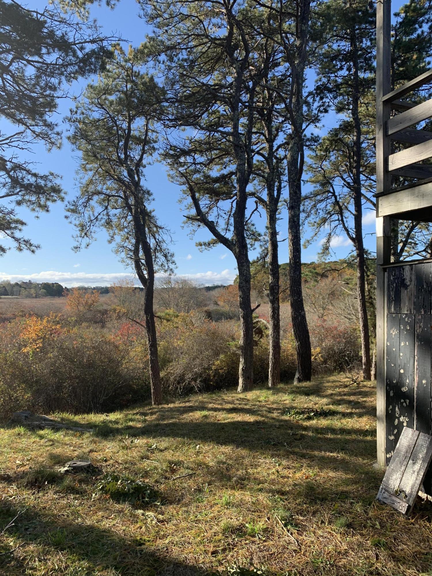 130 Peace Valley Road Wellfleet, MA 02667 - Photo 28 of 28 a view of a backyard with wooden fence