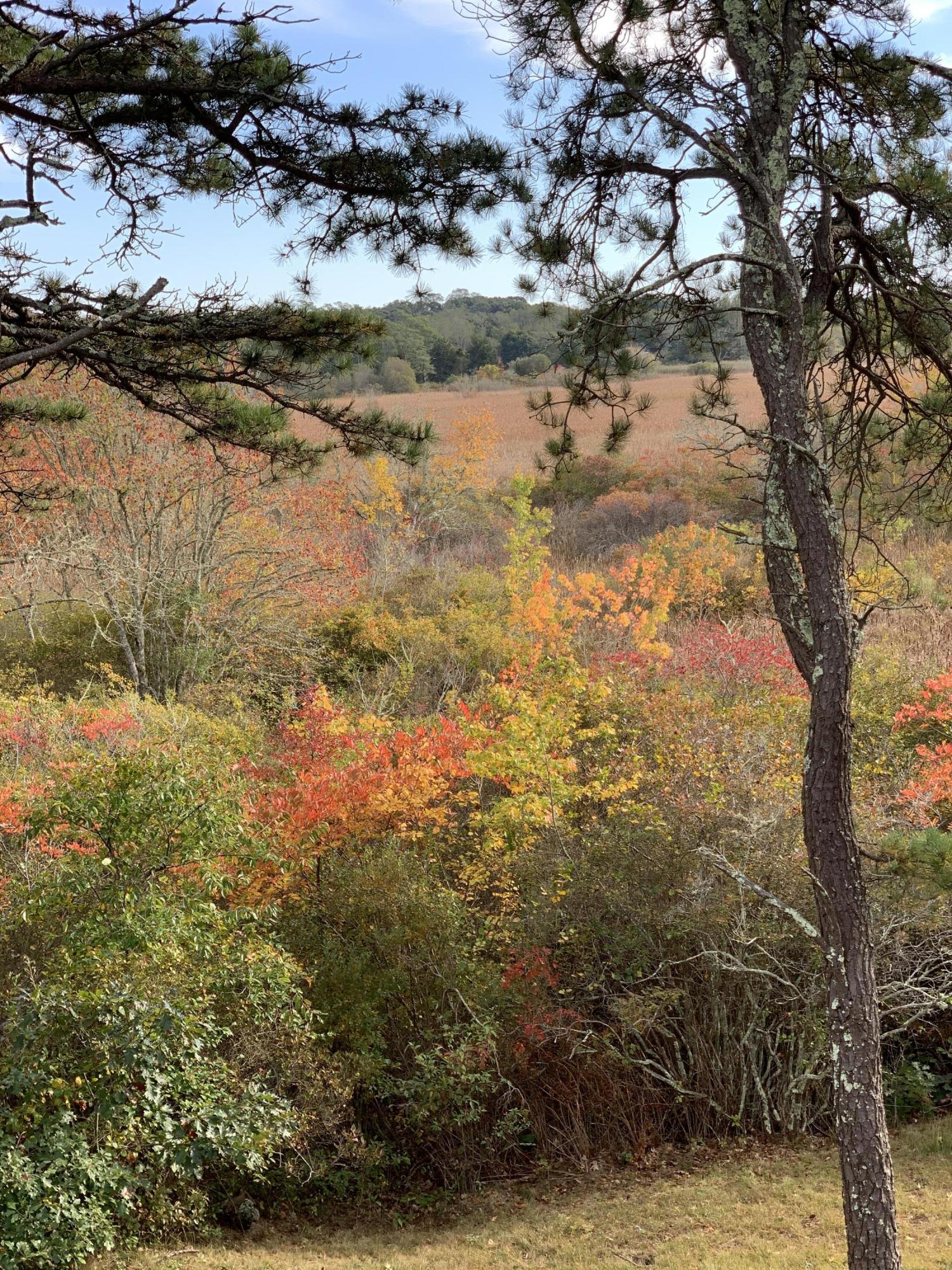 130 Peace Valley Road Wellfleet, MA 02667 - Photo 3 of 28 a view of lake view