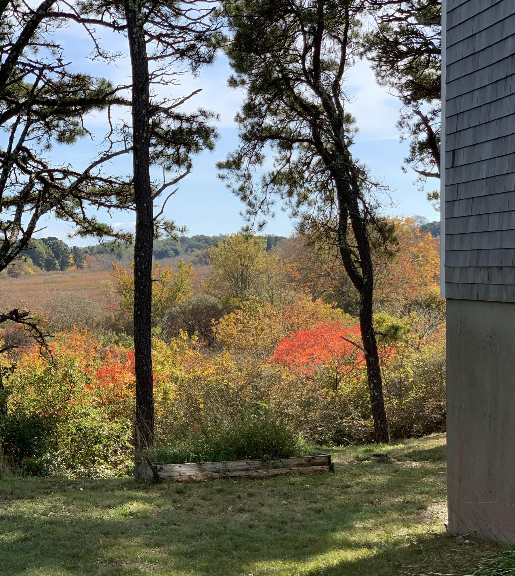 130 Peace Valley Road Wellfleet, MA 02667 - Photo 4 of 28 a view of lake with green space